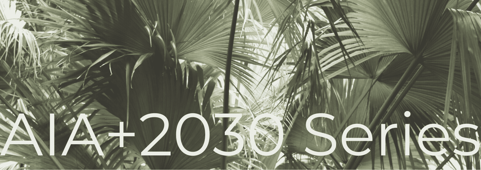2030 banner