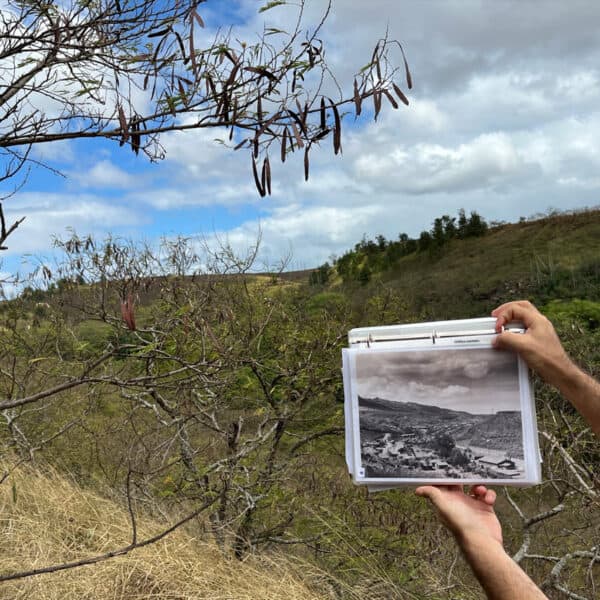 Honouliuli_Web-600x600